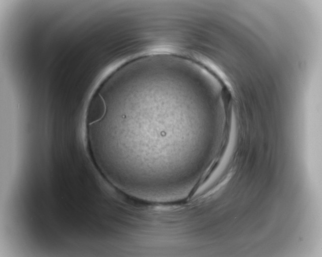 X0000099561469200805231503