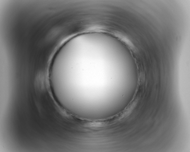 X0000099561470200805231503