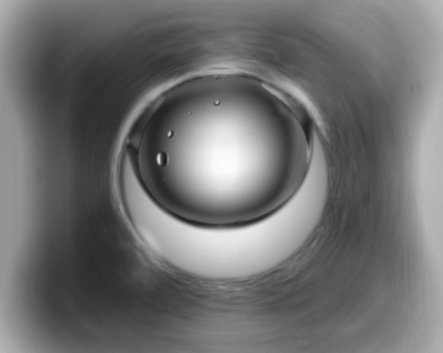 X0000099561472200805231503