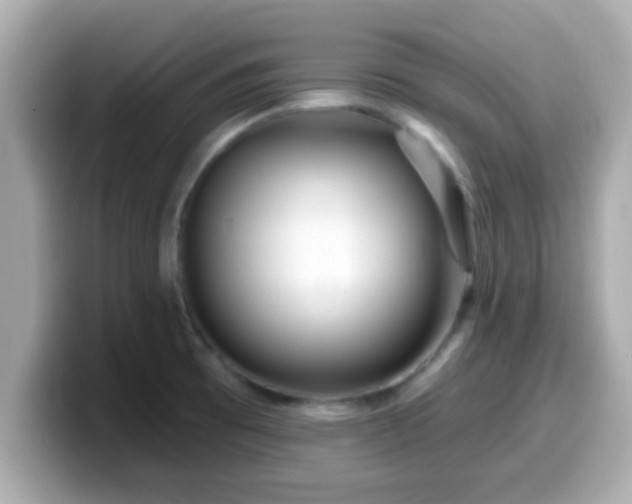 X0000099561473200805231503