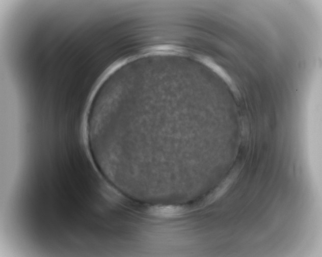 X0000099561474200805231503