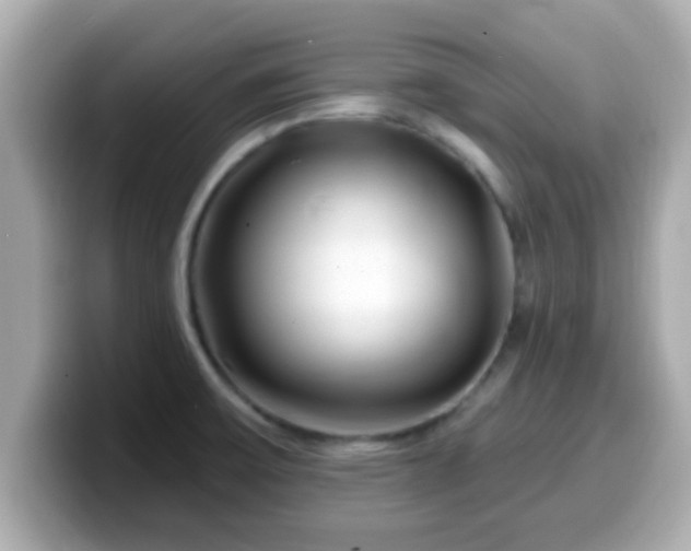 X0000099561475200805231503