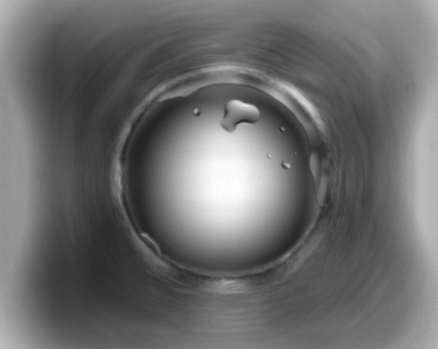 X0000099561476200805231503