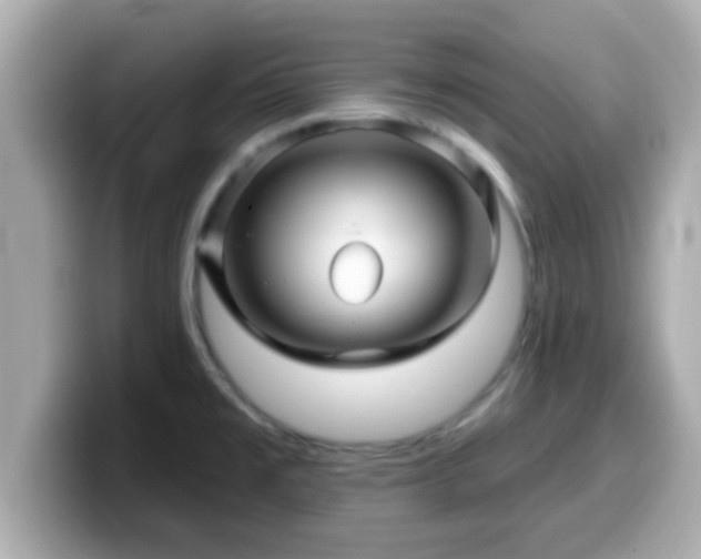 X0000099561477200805231503