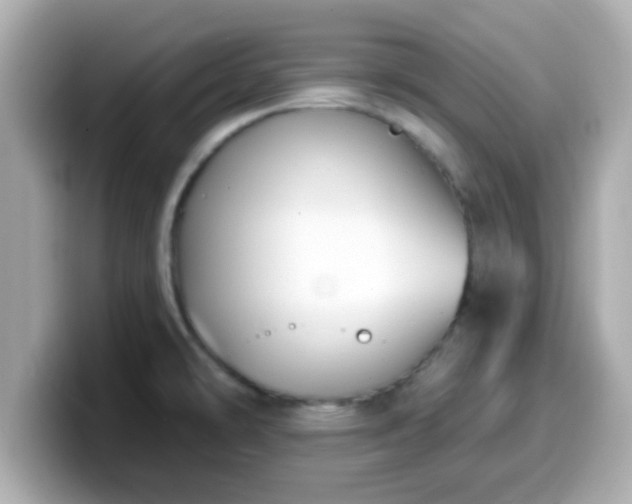 X0000099561478200805231503