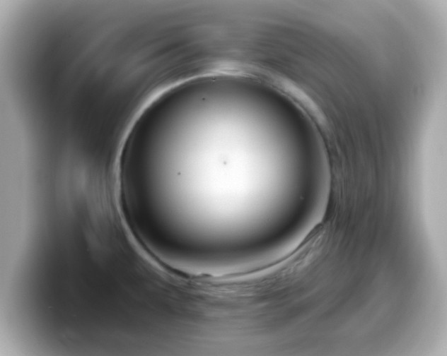 X0000099561479200805231503