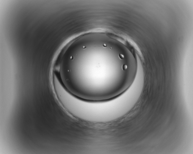 X0000099561480200805231502