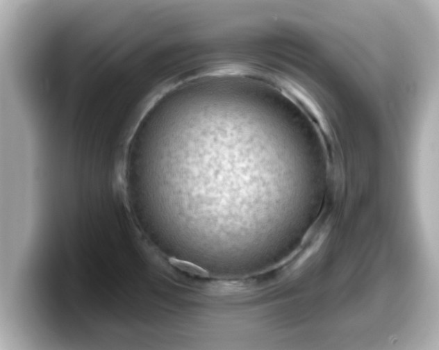 X0000099561481200805231502