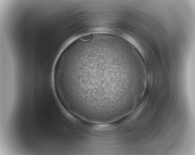 X0000099561482200805231502