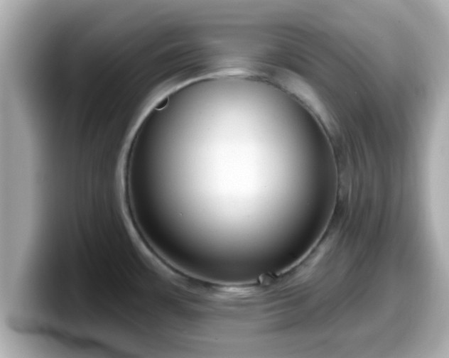 X0000099561483200805231502