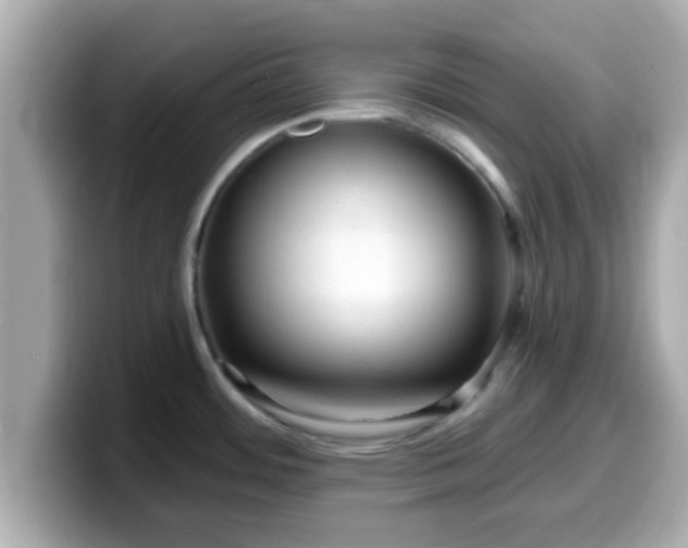 X0000099561484200805231502