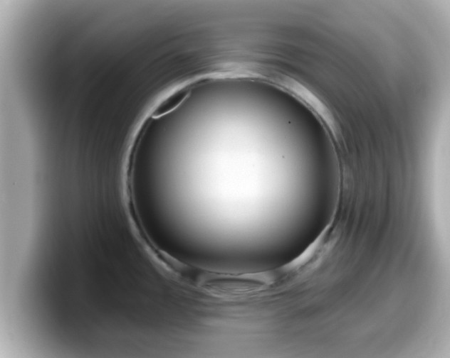 X0000099561485200805231502