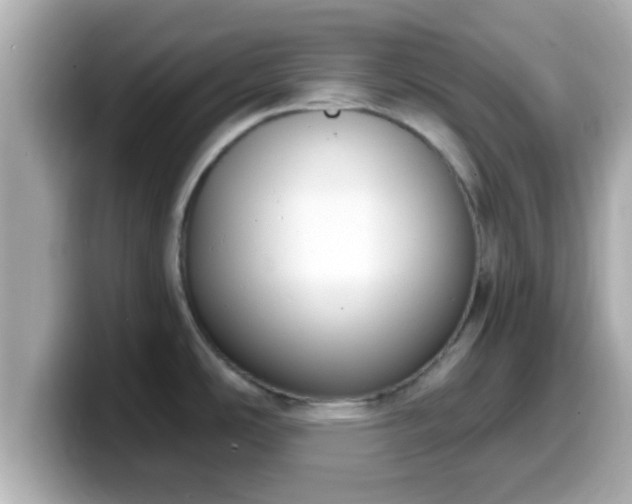 X0000099561486200805231502