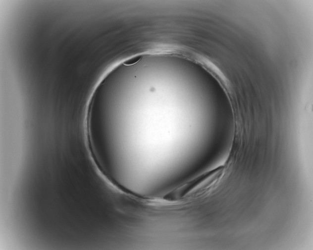 X0000099561487200805231502