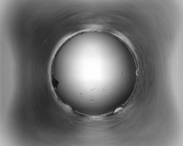 X0000099561488200805231502