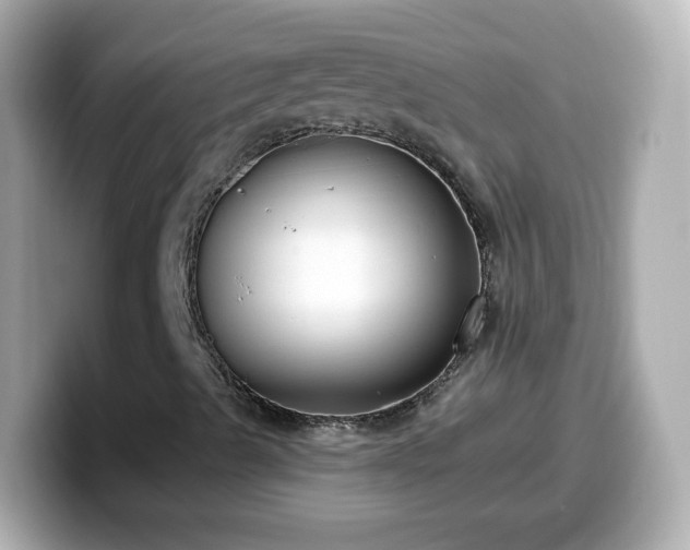 X0000099561489200805231502