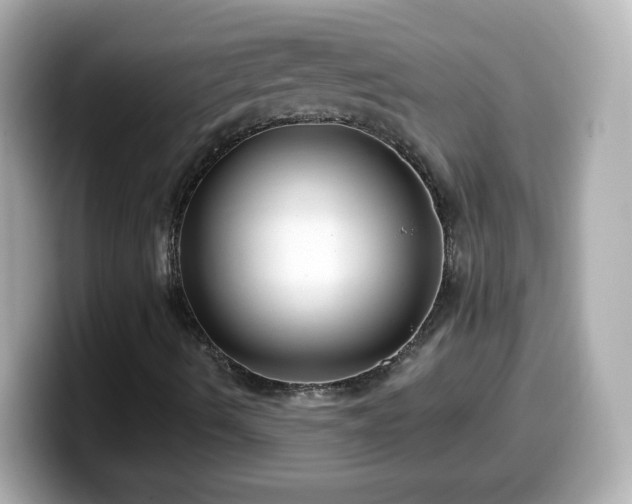 X0000099561490200805231502