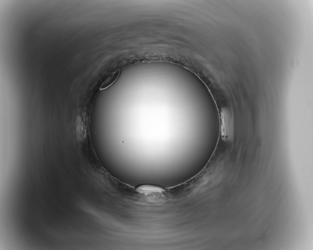 X0000099561491200805231502