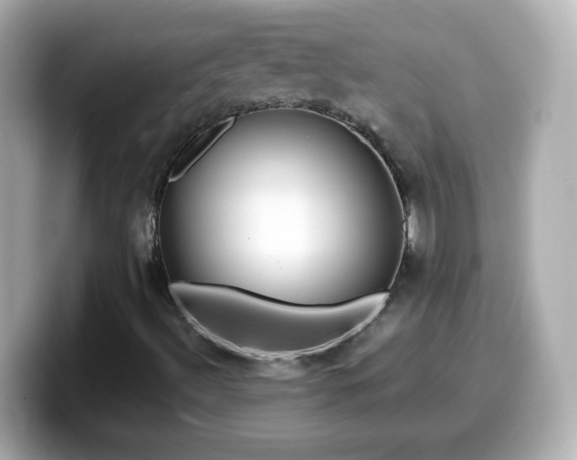 X0000099561492200805231502