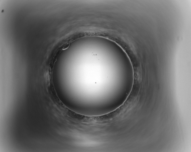 X0000099561493200805231502