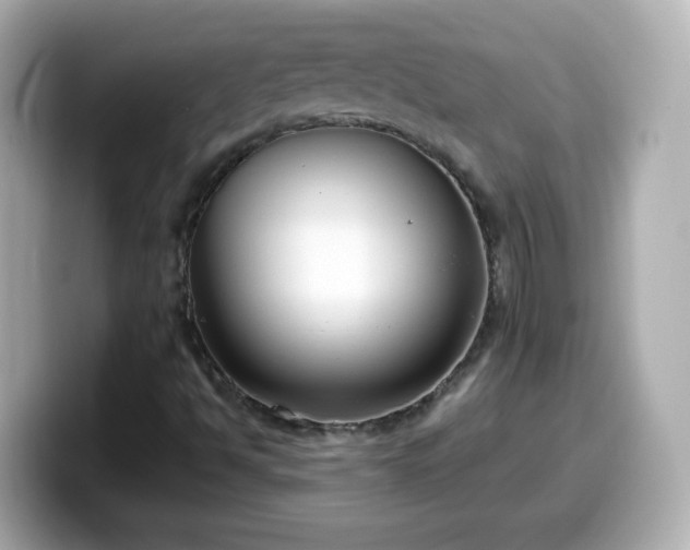 X0000099561494200805231502