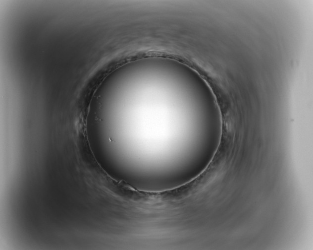 X0000099561495200805231502