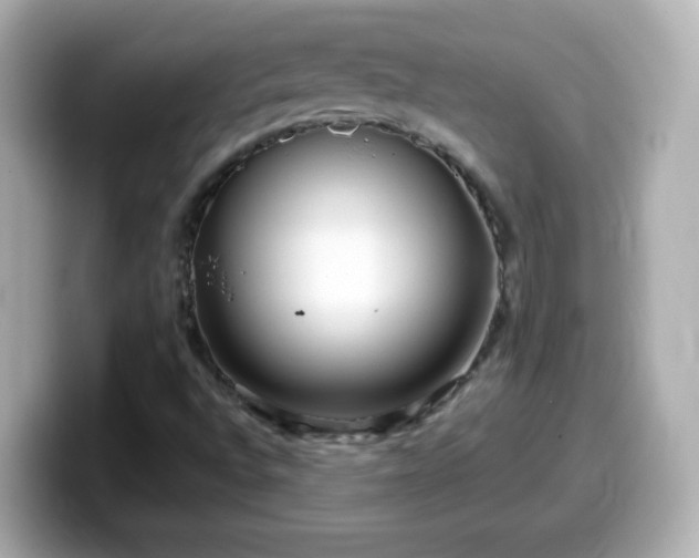 X0000099561496200805231502