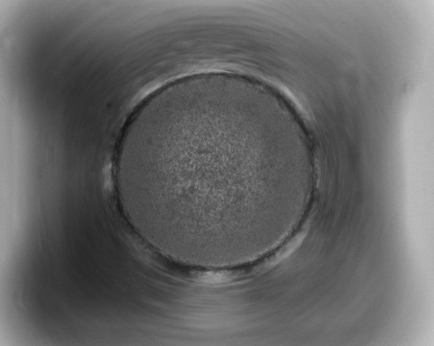 X0000099561497200805231502