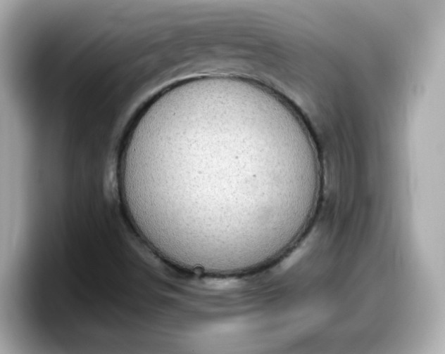 X0000099561498200805231502