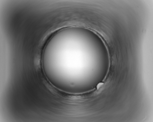 X0000099561499200805231502