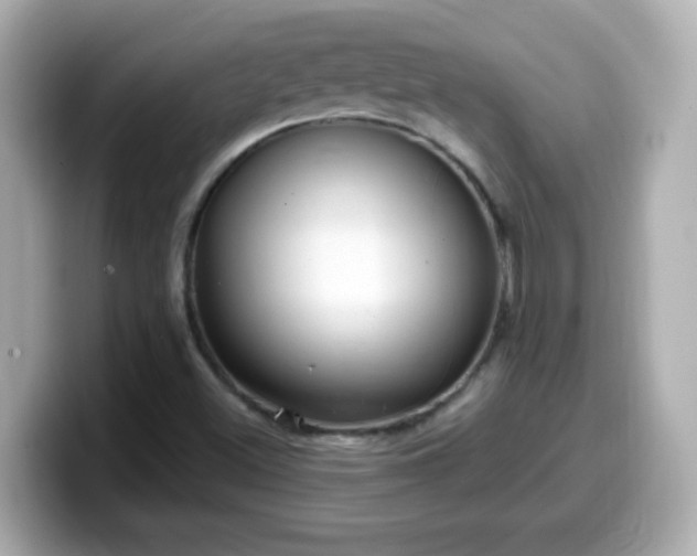 X0000099561500200805231502