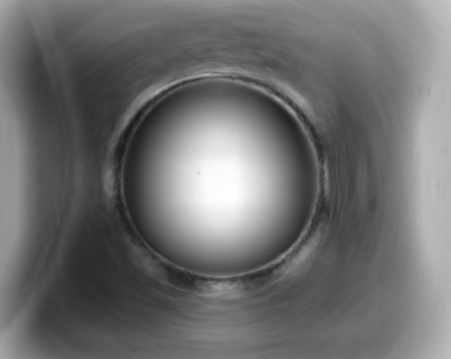 X0000099561501200805231502