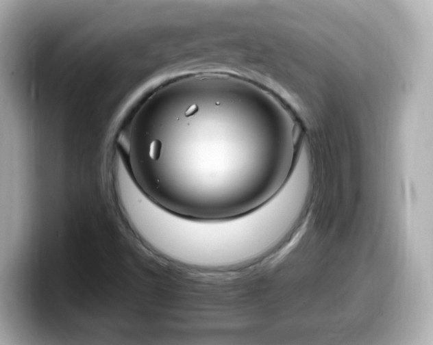 X0000099561502200805231502