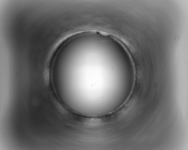 X0000099561503200805231502