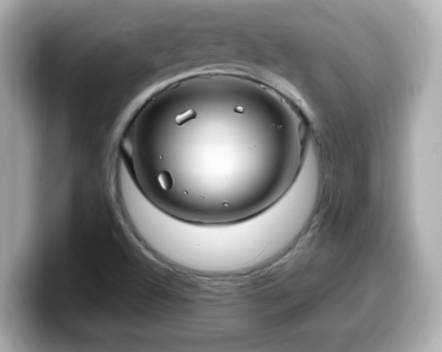 X0000099561504200805231502