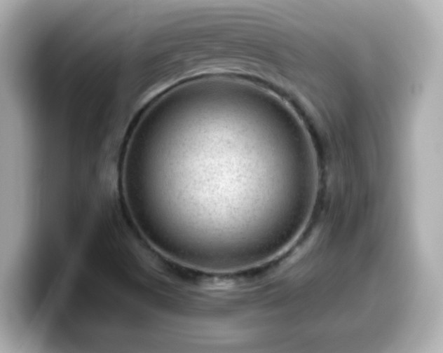 X0000099561505200805231502