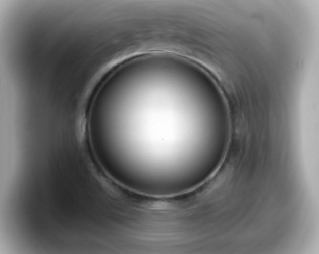 X0000099561507200805231502