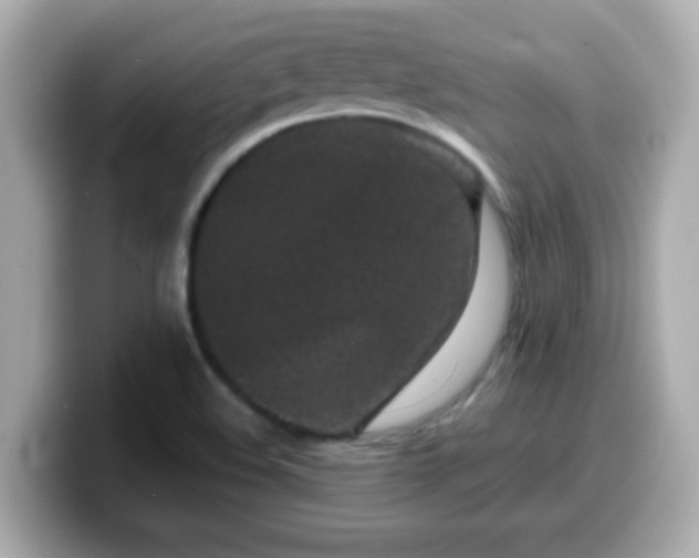 X0000099561508200805231502