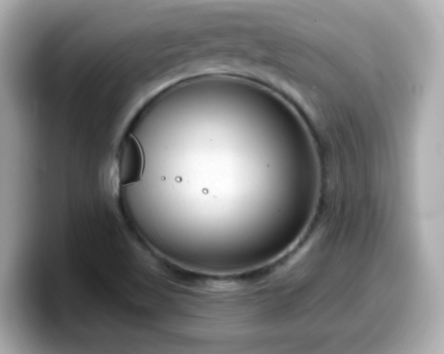 X0000099561509200805231502