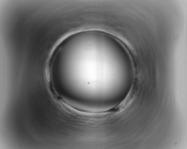 X0000099561510200805231502