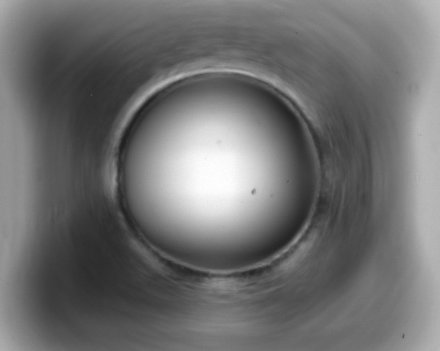 X0000099561511200805231502