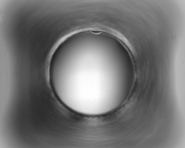 X0000099561512200805231502