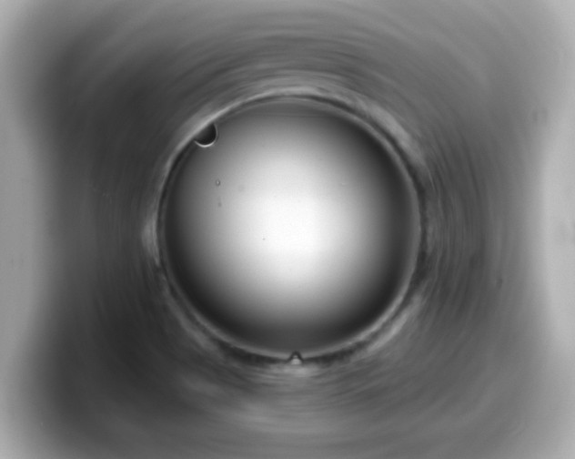 X0000099561513200805231502