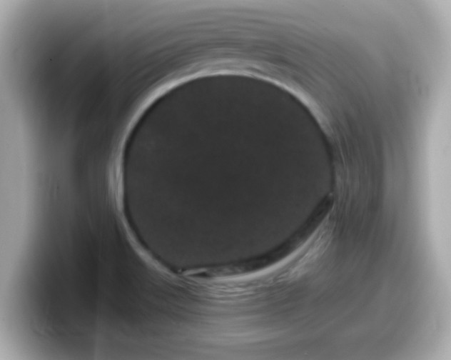 X0000099561515200805231502