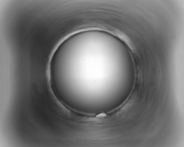 X0000099561516200805231502