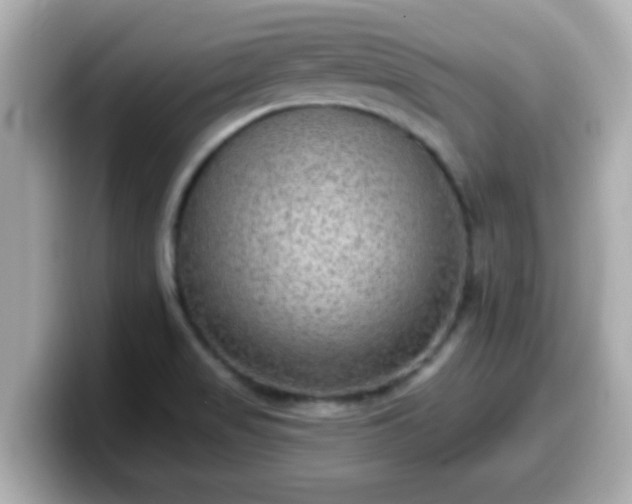 X0000099561517200805231502