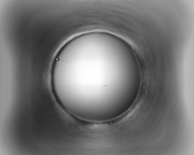 X0000099561518200805231502