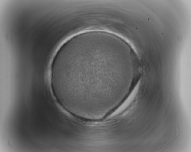 X0000099561519200805231502