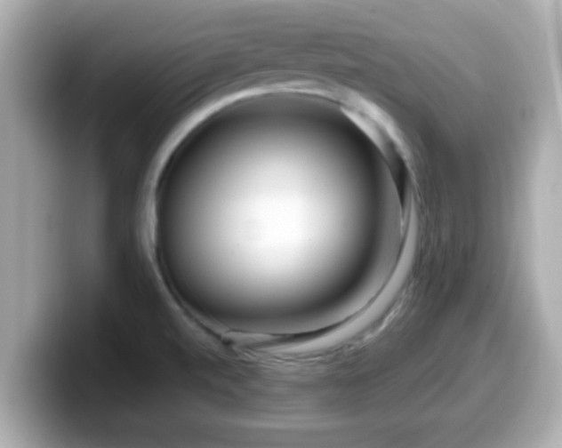 X0000099561520200805231502