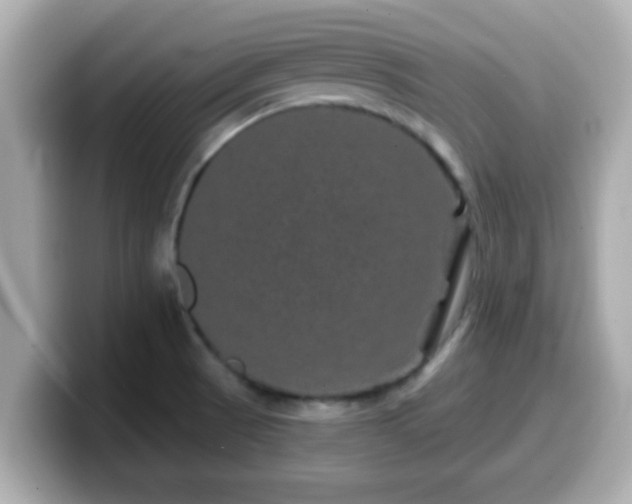 X0000099561521200805231502